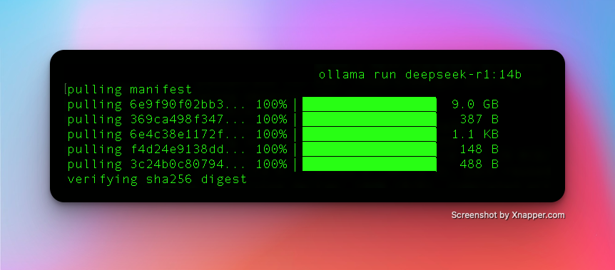 How to install deepseek r1 locally